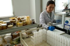 绥芬河海关严把进口食物质量平安关